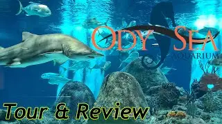 Odysea Aquarium Tour & Review with The Legend