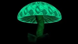 10-ка самых ядовитых грибов