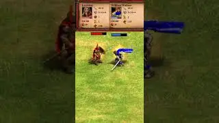 Leonidas vs William Wallace (AoE2) 