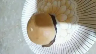 Three Ingredients Home Made Burgers For Kids