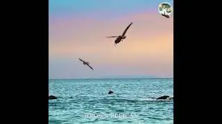 ОХОТА