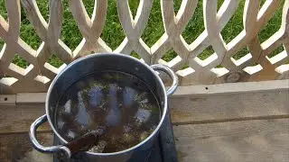 Варенье из сосновых шишек (сосновый мед)