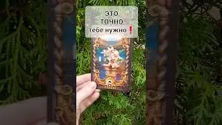 СТОЙ🔥О ТЕБЕ❗
