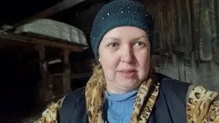 Пригласили ветеринара. Осеменяю с аппаратом. По чём продала мясо.