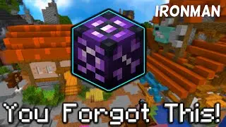 YOU FORGOT ABOUT THIS GREAT ITEM! (Hypixel Skyblock IRONMAN) [202]