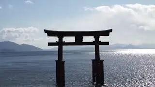 滋賀縣琵琶湖 ［ 白鬚神社 & 牧野町水杉並木 ］｜ Japan Vlog Ep.5