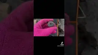 Коп на полі 