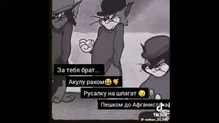 28 января 2024 г.