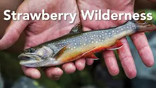 Backpacking in Strawberry Wilderness, Fly Fishing in Slide Lake, and Summiting Strawberry Mountain