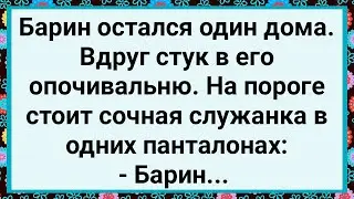 Как Барин Один Дома Остался! Большой Сборник Свежих Смешных Жизненных Анекдотов!