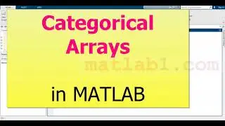 Categorical Arrays   MATLAB & Simulink