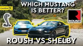 Shelby Speedster vs. Roush Mustang: Canyon Carving!