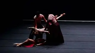 AREA JEUNE BALLET - Kluster by Grant Aris (teaser)