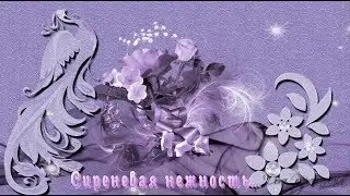 СИРЕНЕВАЯ НЕЖНОСТЬ