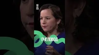 Шмель — это просто толстая пчела? Ответ в новом интервью с пчеловодом.