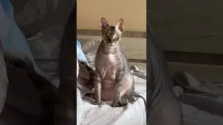 А как ваши прорабы?