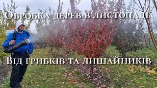Знову сікачі.Остання осіння обробка саду.