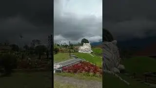The Blooms Garden