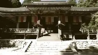NTR.MND(네이쳐마인드) - summer.evening.in.japan