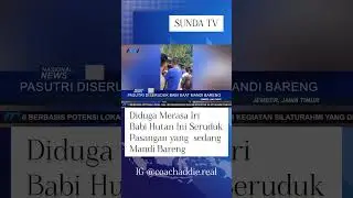 PAMER KEMESRAAN DENGAN MANDI BARENG, PASANGAN INI DISERANG BABI HUTAN
