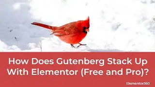 How Does Gutenberg Stack Up With Elementor (Free and Pro)?