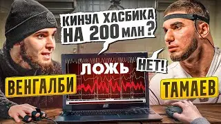 Венгалби vs Тамаев. Детектор Лжи! Кинул Хасбика на 200 млн?