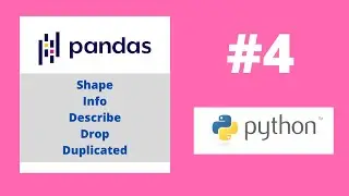 [Belajar Pandas] - Shape Info Describe Drop Duplicated
