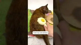 You need this brush!