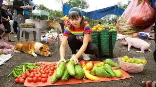 Harvesting Beans, Gourd & Tomatoes Goes To Market Sell - Vegetable Fertilizer  | New Free Bushcraft