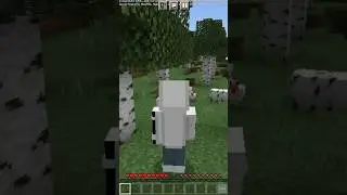 MINECRAFT TAPI, AKU GAK BISA MENYENTUH WARNAH PUTIH #shorts  #minecraft  #minecraftpe