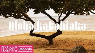 Hawaiian Music: Aloha Kakahiaka | Morning Relaxation 【作業用BGM】