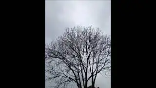 Не чини прељубе.  Седма Заповест Божија