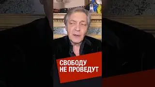 Невзоров о мечтах о свободопроводе в россию 