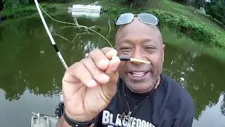 CRAPPIE FISHING ON BRUSHPILES AND STRUCTURE EFFECTIVELY WITH THIS STINGER