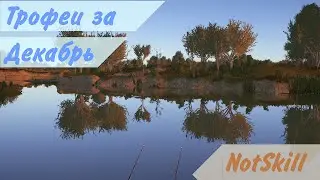 Русская рыбалка 4. Трофеи за декабрь.