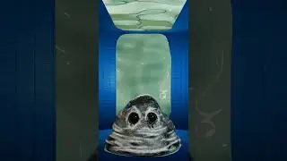 Slime in Zoonomaly FNAF AR Workshop Animations