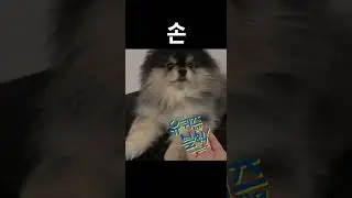 손