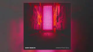 Shiny Objects - Inner Lights