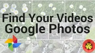 How to find your videos in Google Photos