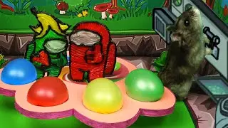 🐹 Game Maze game AMONG US for hamster. SECRET ROOM among us