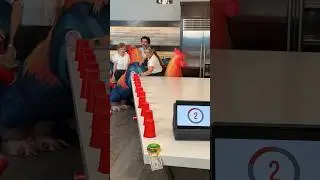 Funny Giant Rooster Racing 🤣 #challenges #familygames #funtimes #racing