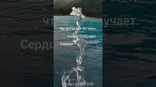 Больше цитат здесь https://t.me/yakovlevy_family