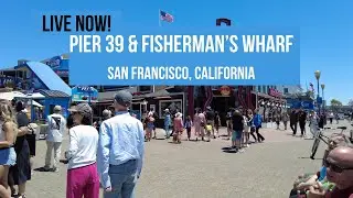 Pier 39, Fisherman’s Wharf & more, San Francisco, California Labor Day Walk