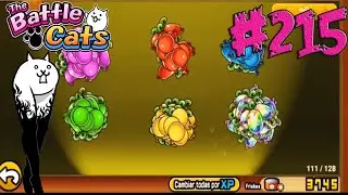 Crazed Sexy Legs Cat Gato Muslamen Demente Farmear Frutas | Español  The Jeg The Battle Cats 