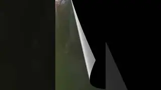 3 коротких видео на нашем канале