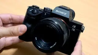 Sony A7 III - Review and Sample Photos