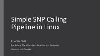 Simple SNP calling pipeline in Linux