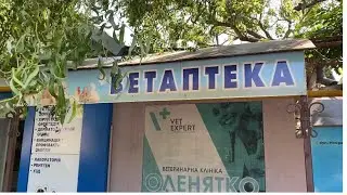 ХЕРСОН 09.07.22 !!! Какие документы необходимы для путешествия с животными !