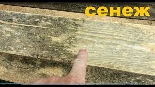 Как сенеж отбеливает доски