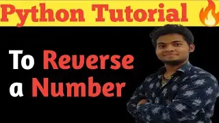 Write a Program to Reverse a Number in Python in Hindi | python for beginners